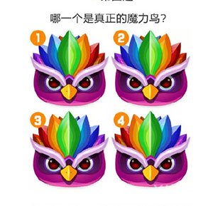魔力鸟小说人生游戏在线阅读_游戏人生 魔力鸟 小说_鸟炸天辅助魔力鸟下载