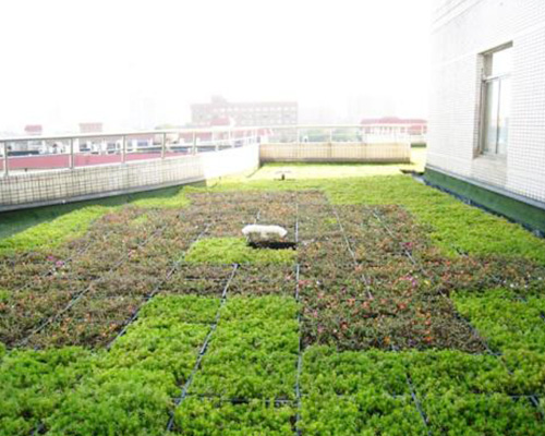 空中花园QQ游戏破解版_qq空中花园_空中花园QQ