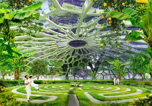 空中花园QQ_空中花园QQ游戏破解版_qq空中花园