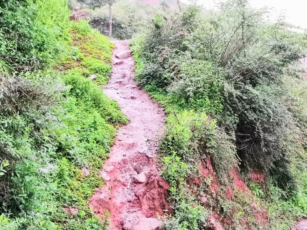 全民奇迹钻石雨公益服_潘雨尘水公主图片_雨尘公益传奇