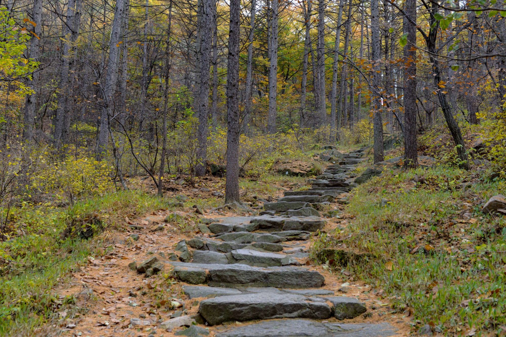平衡球游戏大全_平衡球游戏第十四关_平衡球游戏手机版经典