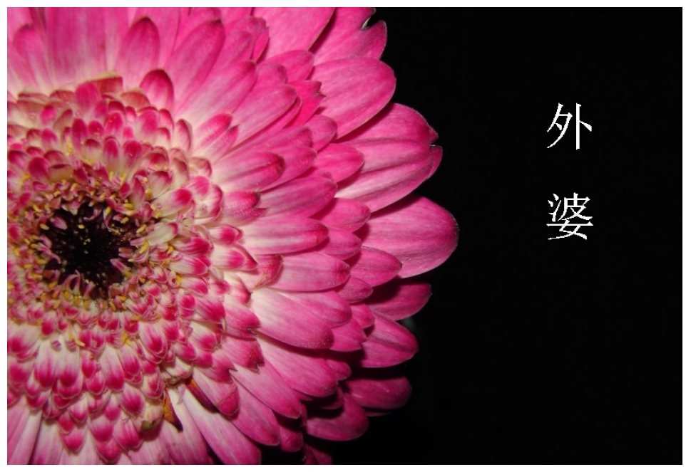 山口美花近亲图片_时光时光等一夏小说_小说 花剪了时光 却凝固了美图片