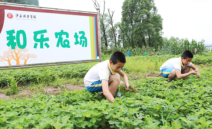 农场开心农场游戏_开心农场app_开心网农场