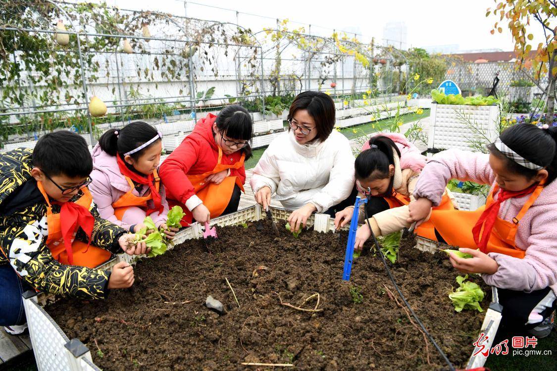开心农场app_农场开心农场游戏_开心网农场