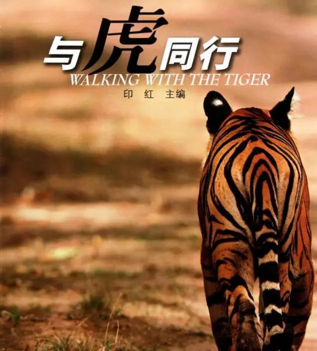 亚洲虎蚊图片_亚洲四虎影视_亚洲虎是什么意思