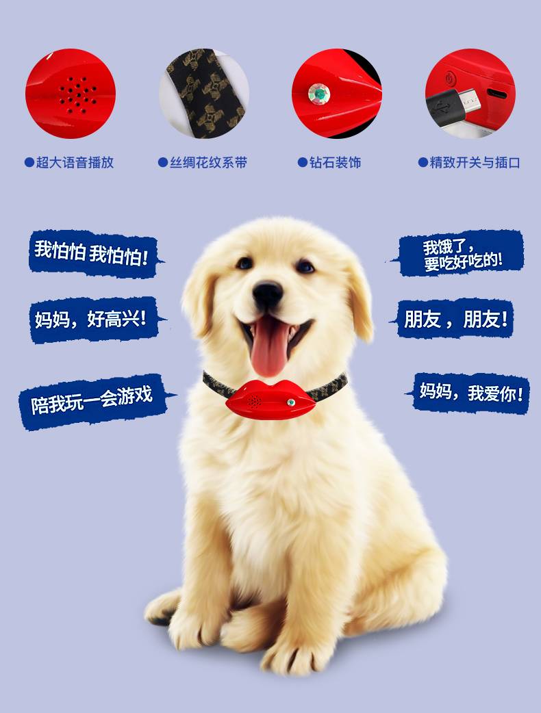 猫狗语言翻译器_翻译猫狗语言的软件_下载猫狗语言翻译器