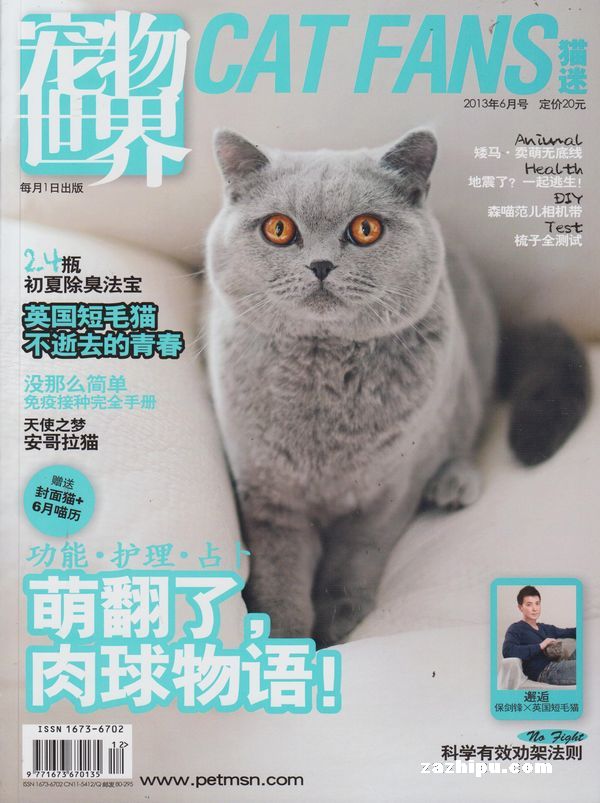 下载杂志迷_杂志迷app_电脑迷杂志