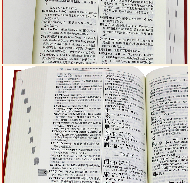字典电子版_字典电子版免费_电子字典