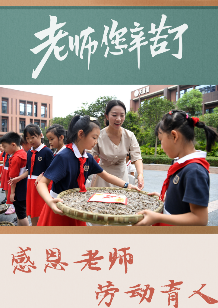 石心花开_石心夫人_石之心