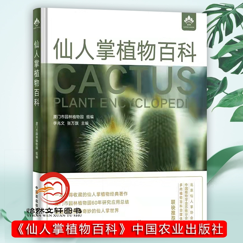 仙人掌官网视频_仙人掌官网在线下载_仙人掌网站