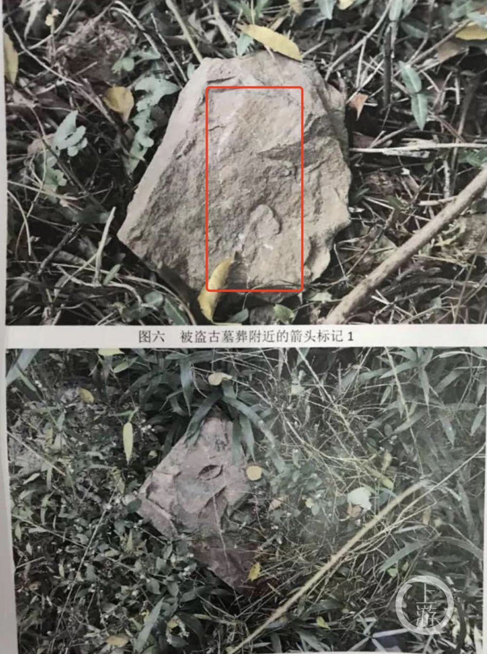 贼窝_巫师3贼窝仁义_贼窝在那里呢