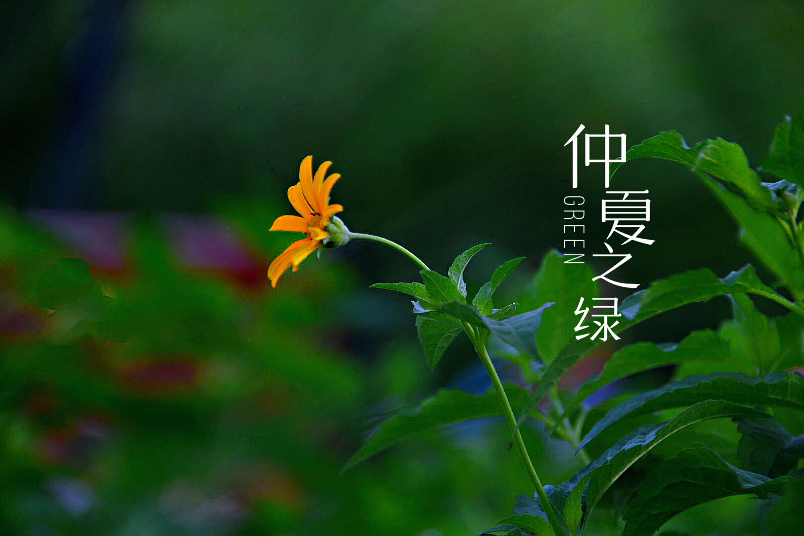 代号生机_代号生机现在叫什么名字_代号生机是什么游戏