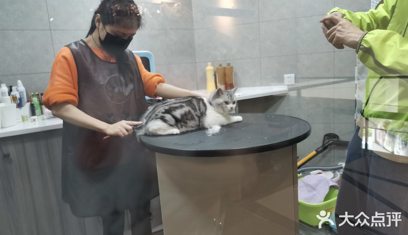 宠物大联盟_宠物联盟大电影_宠物联盟大电影免费观看