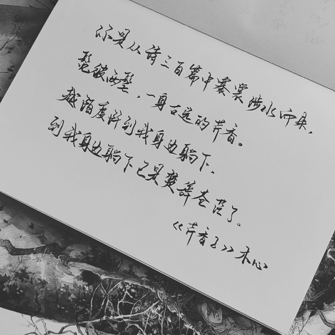 仿手写软件app有哪些_仿手写软件app_仿手写软件app免费