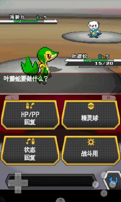 口袋妖怪_口袋妖怪究极绿宝石_口袋妖怪漆黑的魅影