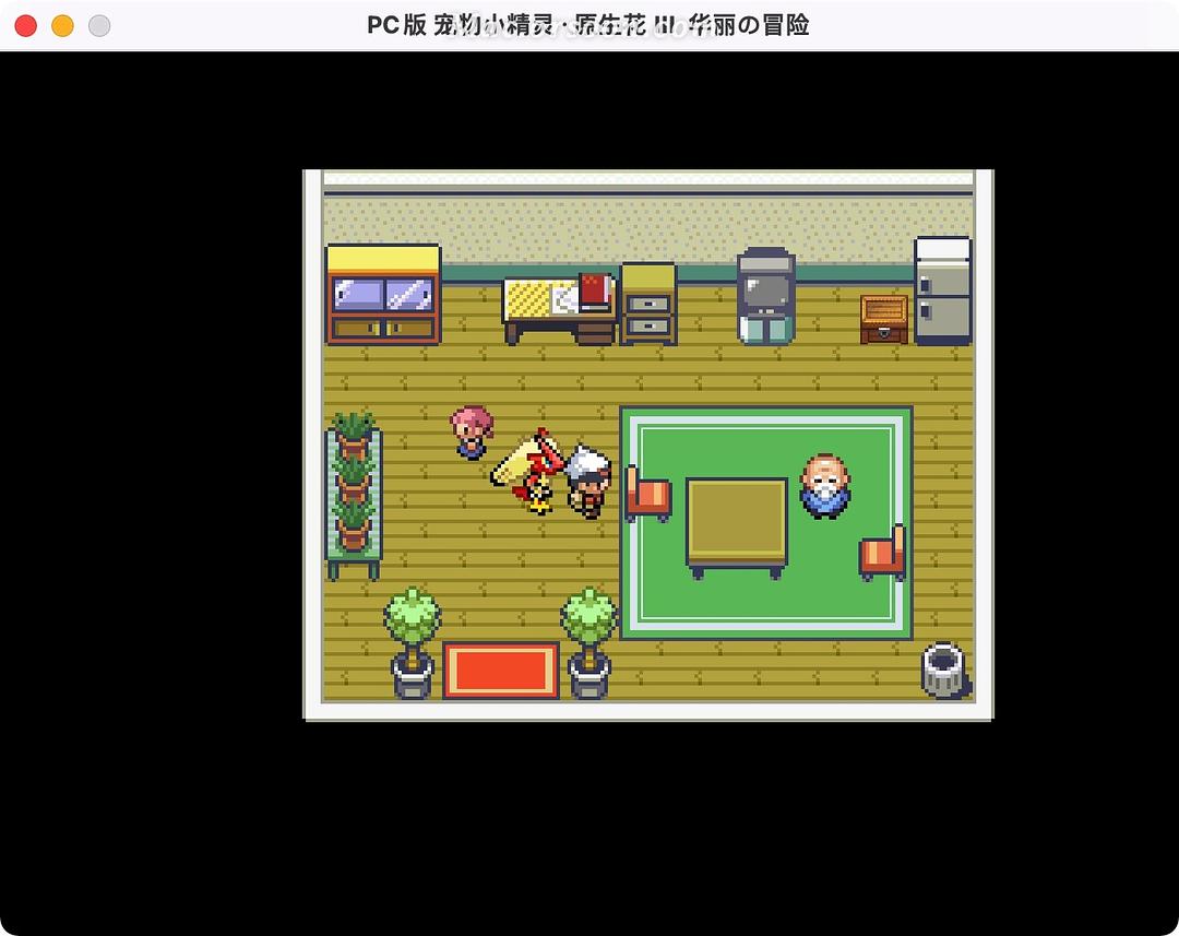 口袋妖怪_口袋妖怪漆黑的魅影_口袋妖怪究极绿宝石