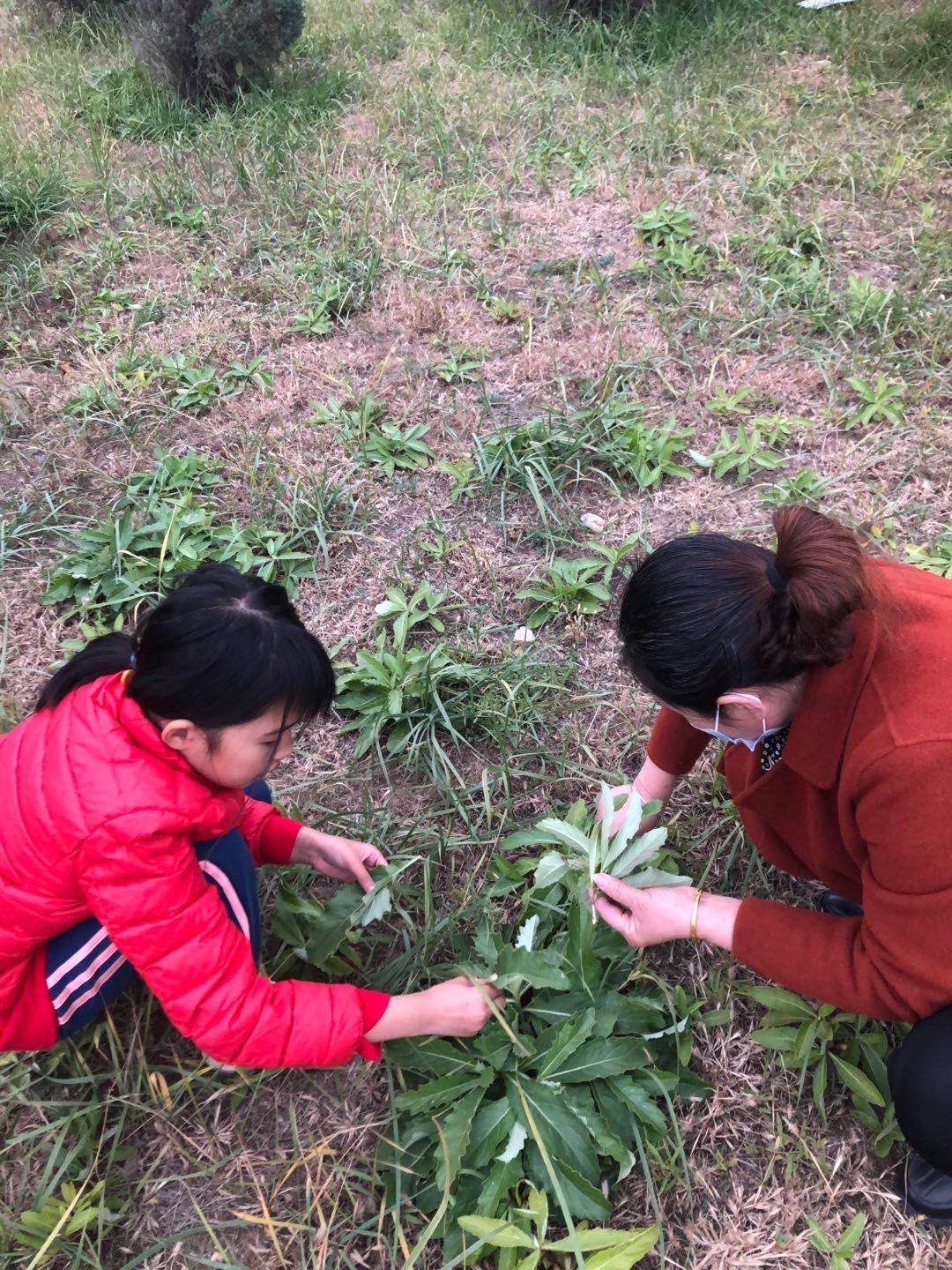 迷沙电影免费观看_迷沙_迷沙旱海小孩