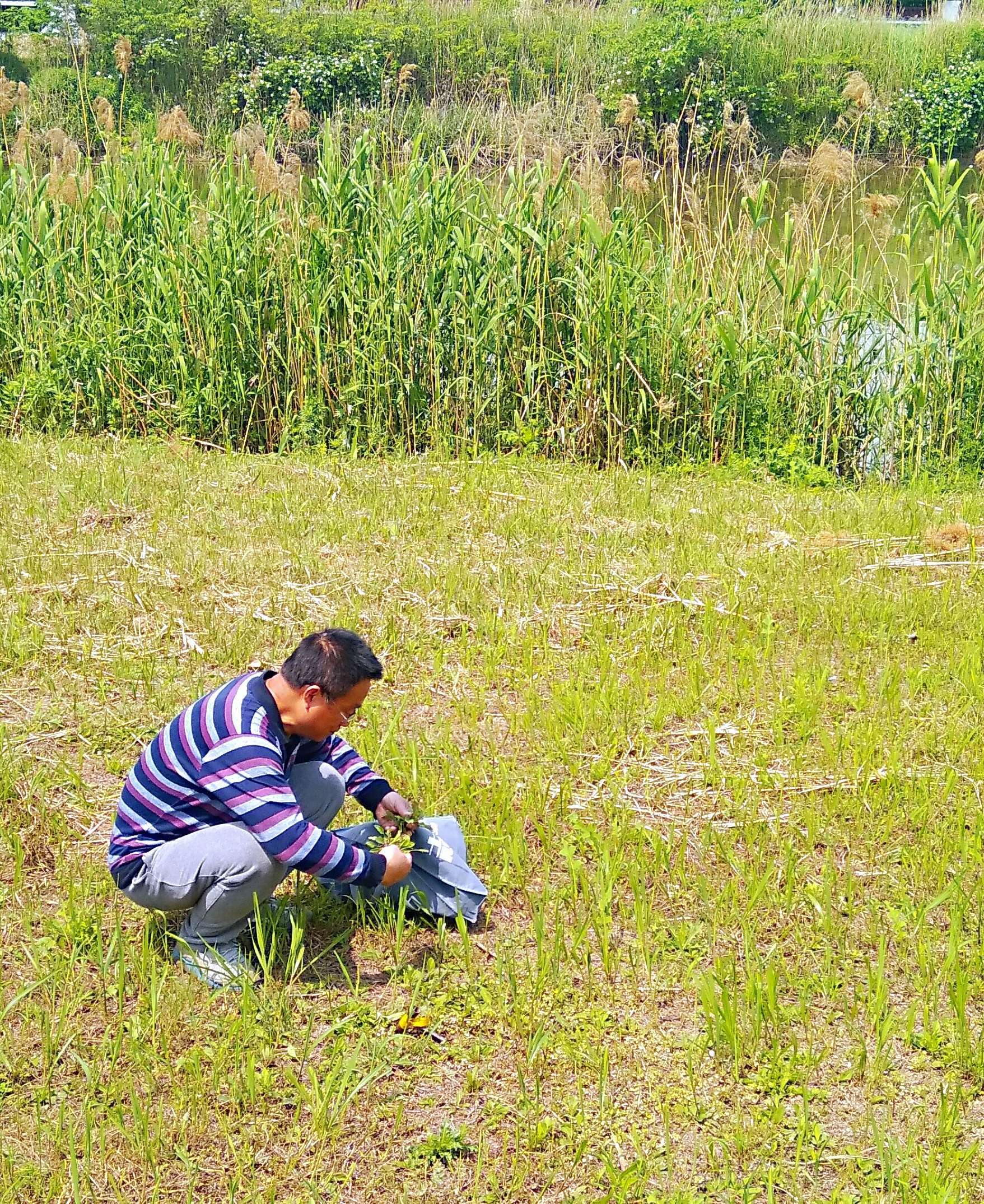 迷沙旱海小孩_迷沙_迷沙电影免费观看