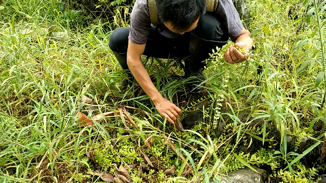 迷沙旱海小孩_迷沙_迷沙电影免费观看