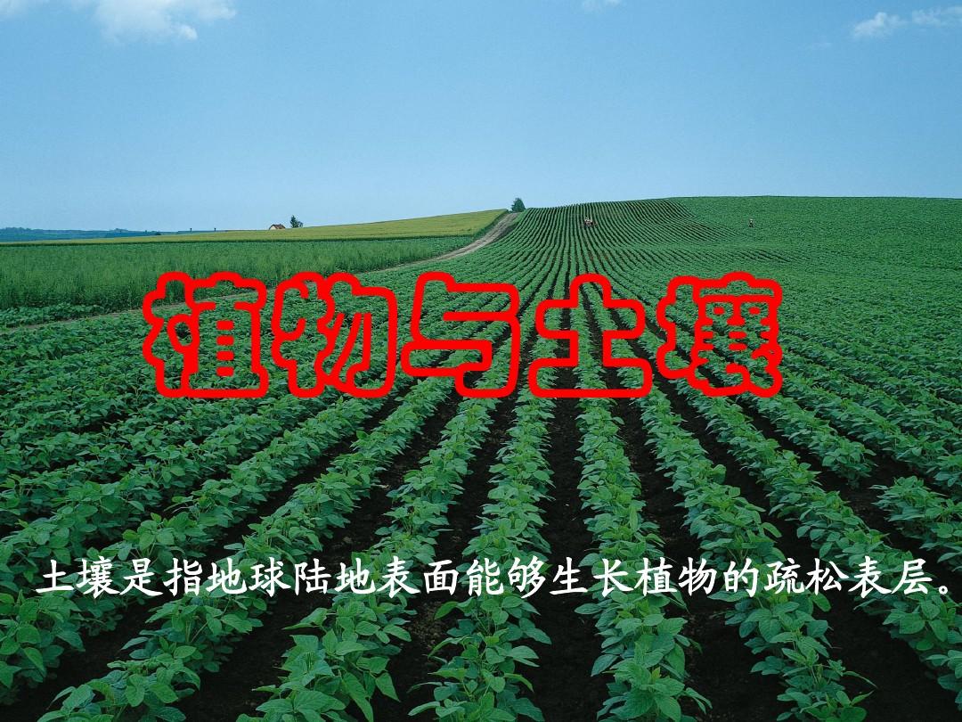 方根_根管治疗_根组词