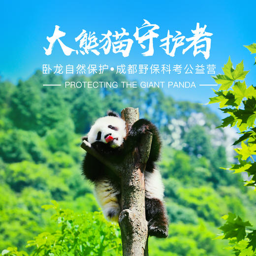 播播_播的拼音_久久播快播