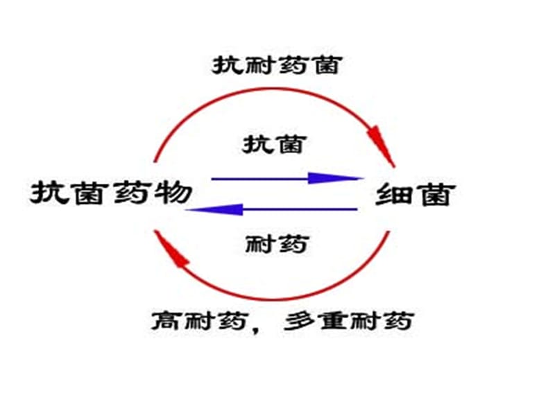 有一款细菌感染的游戏_细菌吃药手机游戏_细菌吃药有效果吗