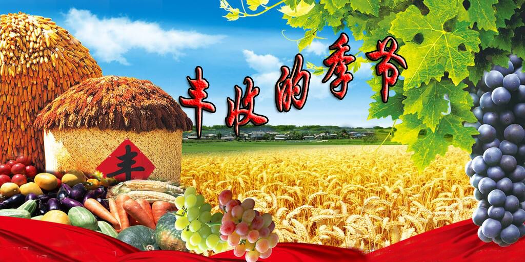 四季的谎言_谎言四季都能生长的意思_谎言四季都能生长
