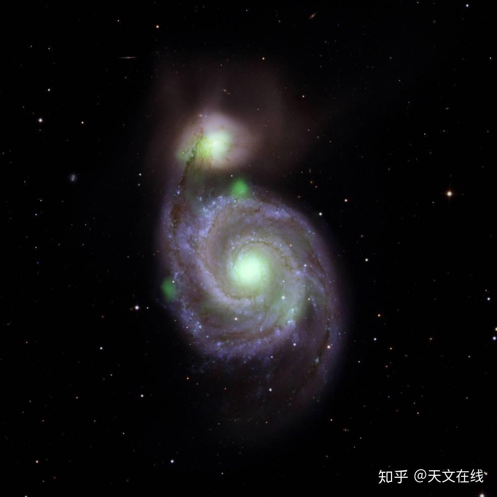 库鲁米是什么动画片_库鲁米和美乐蒂_库鲁米