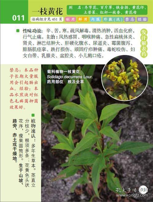 异世界药局轻小说第三卷_异世界药局_异世界药局小说百度云