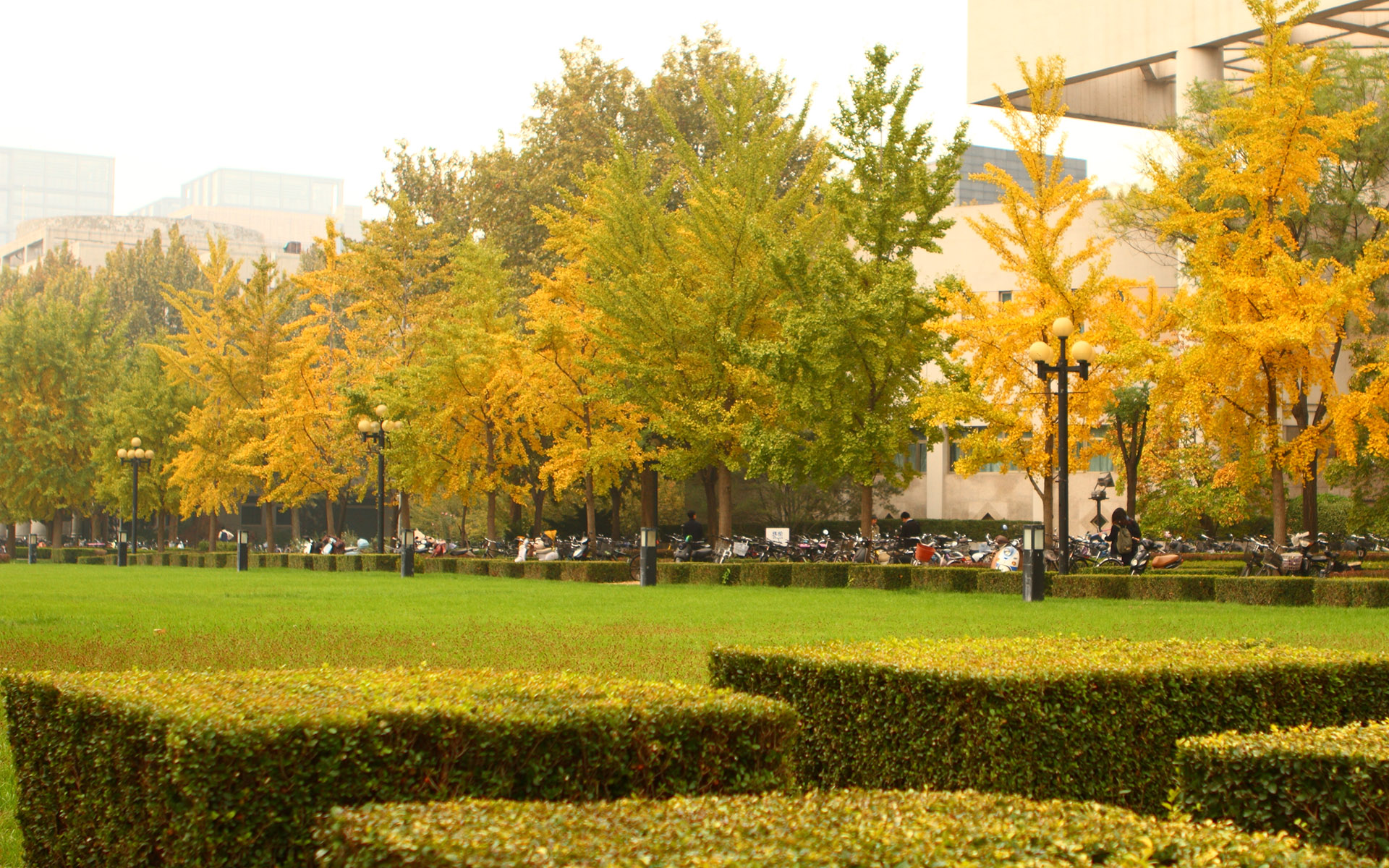 伊豆的大学_静冈机场到伊豆_伊豆大学