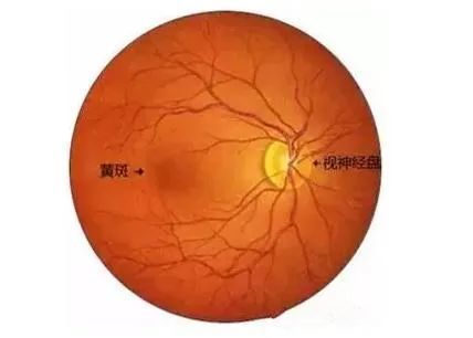 玩手机电脑游戏的危害_用电脑和手机玩游戏的危害_危害玩电脑手机游戏用英语翻译
