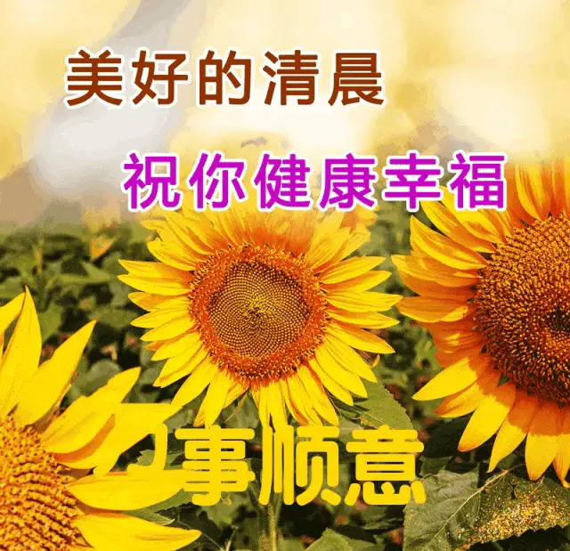 德国日期怎么看日月年_月年2023年_2023年6月19日