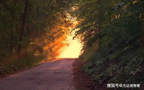 杰达_杰达姆航弹_杰达姆联合攻击弹药