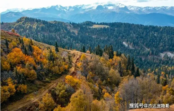 杰达姆联合攻击弹药_杰达_杰达姆航弹