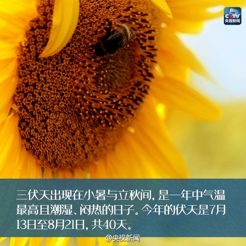 入伏时间和出伏时间怎么算_出伏时间计算_2021入伏和出伏时辰