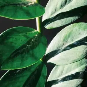 游戏中毒太深怎么办_中毒的游戏_最容易中毒的手机游戏