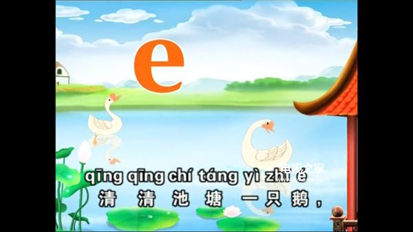 青蛙子_青蛙子_青蛙子
