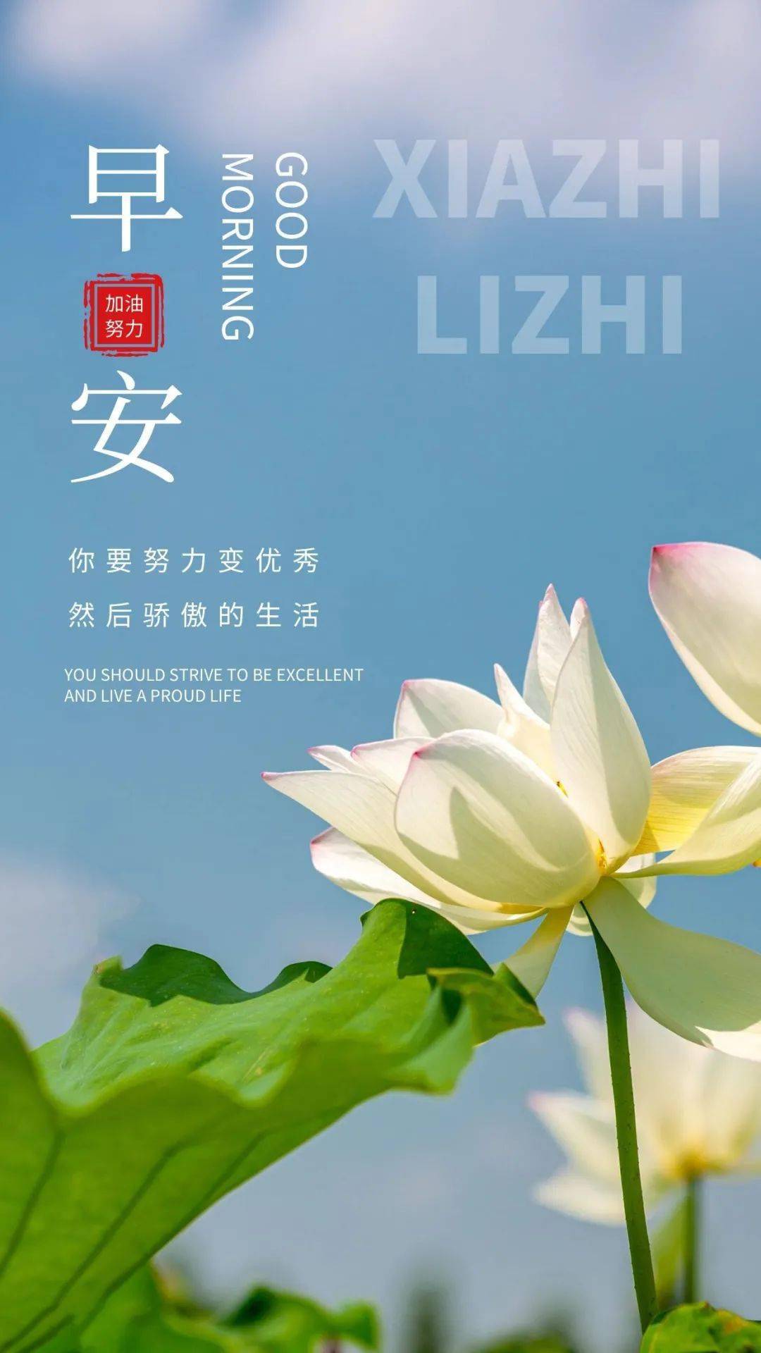 早人_早八是什么意思_街头霸王5人安早