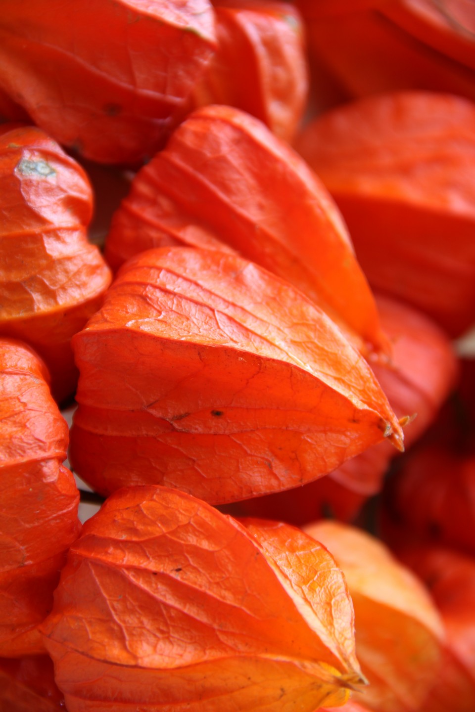 官网下载软件_官网下载安装_gate.io官网下载