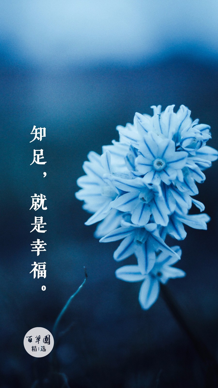 知足app改成什么了_知足app_唯吾知足还是吾唯知足