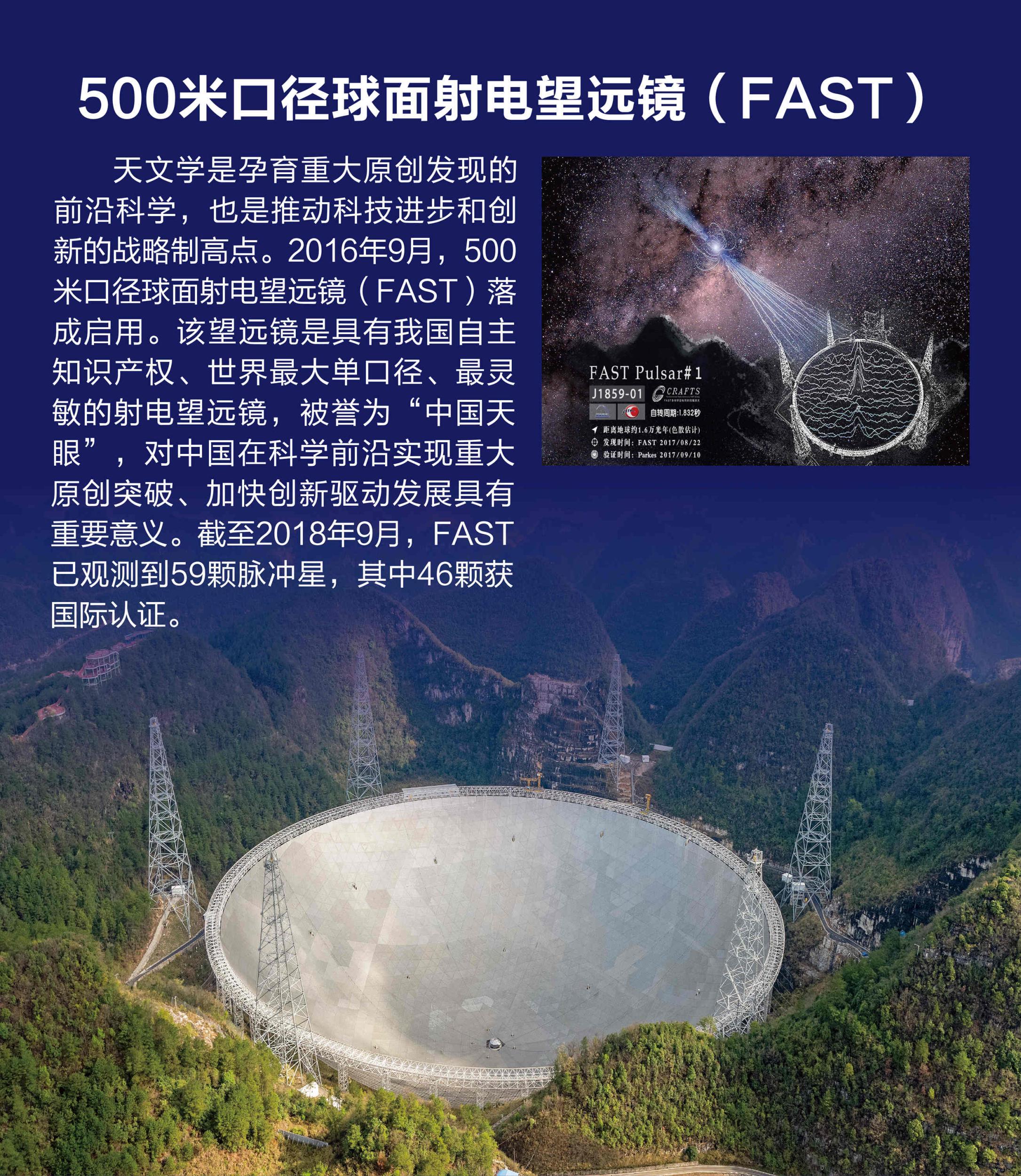 属年1994_1983年属什么_属年的今年多大