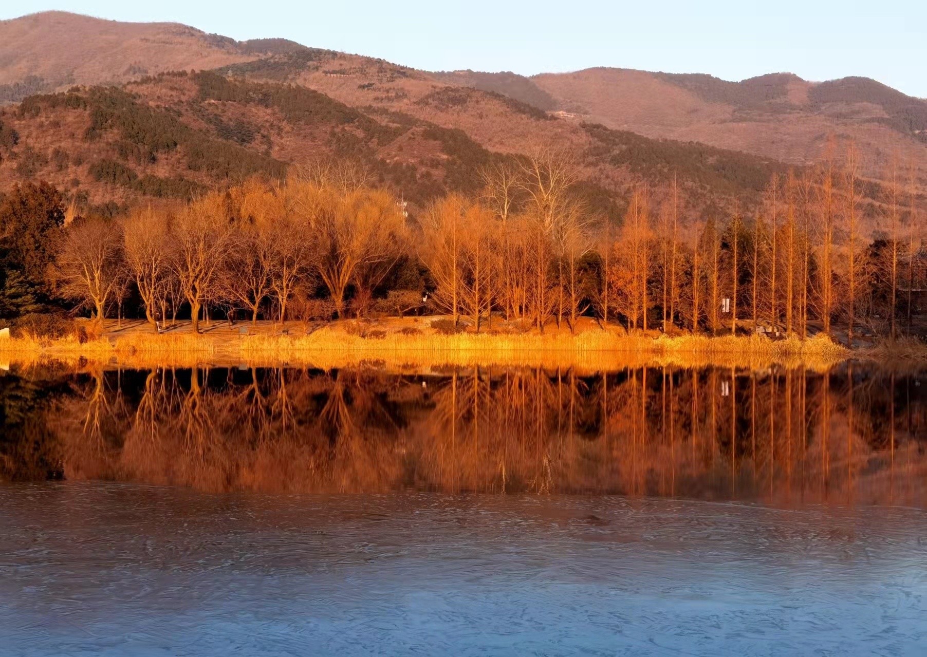 高乃美琴樱咲雪乃_雪乃_雪乃发型