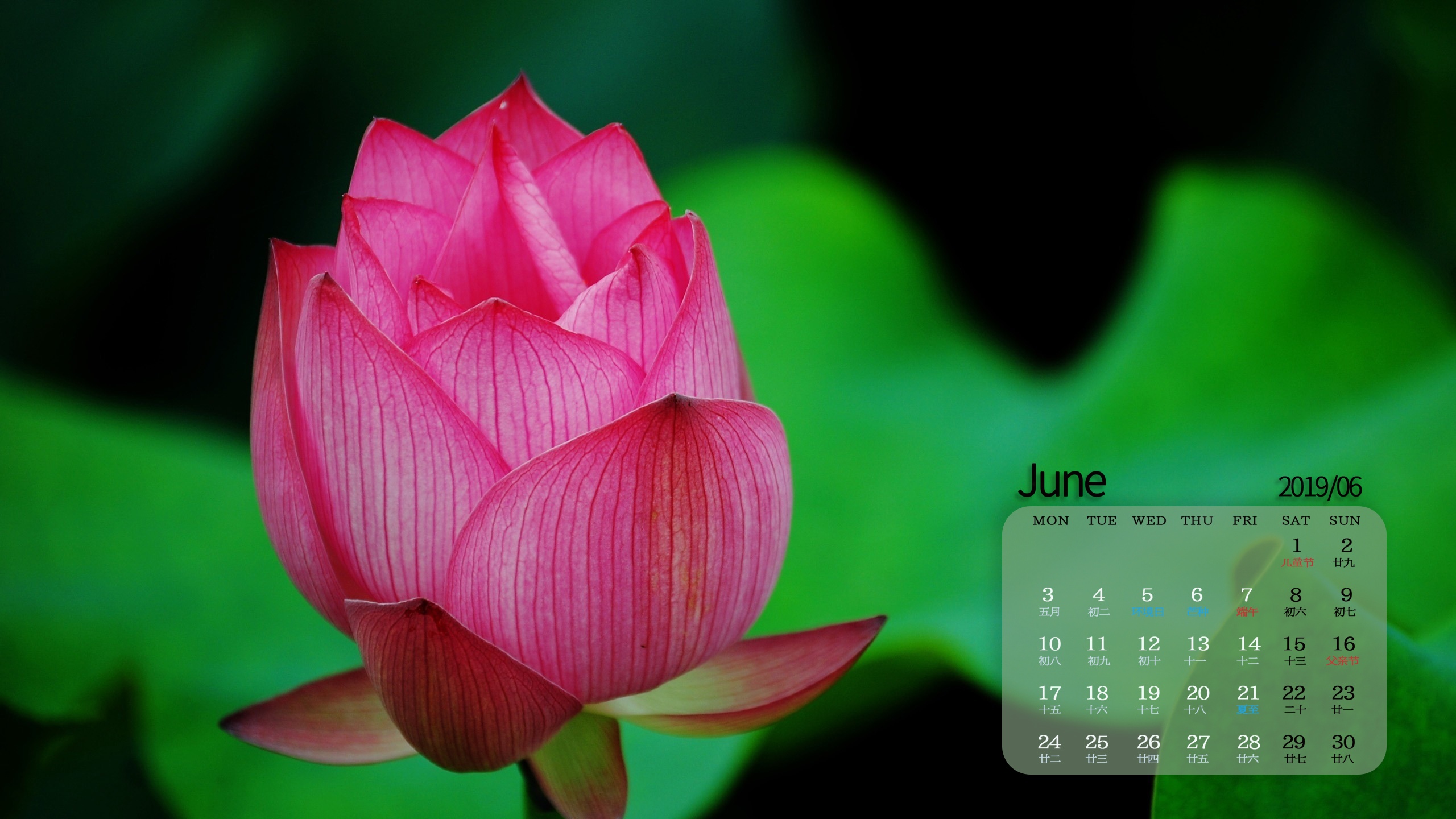 6月日历桌面壁纸_月历壁纸桌面壁纸高清_日历壁纸桌面月亮怎么弄