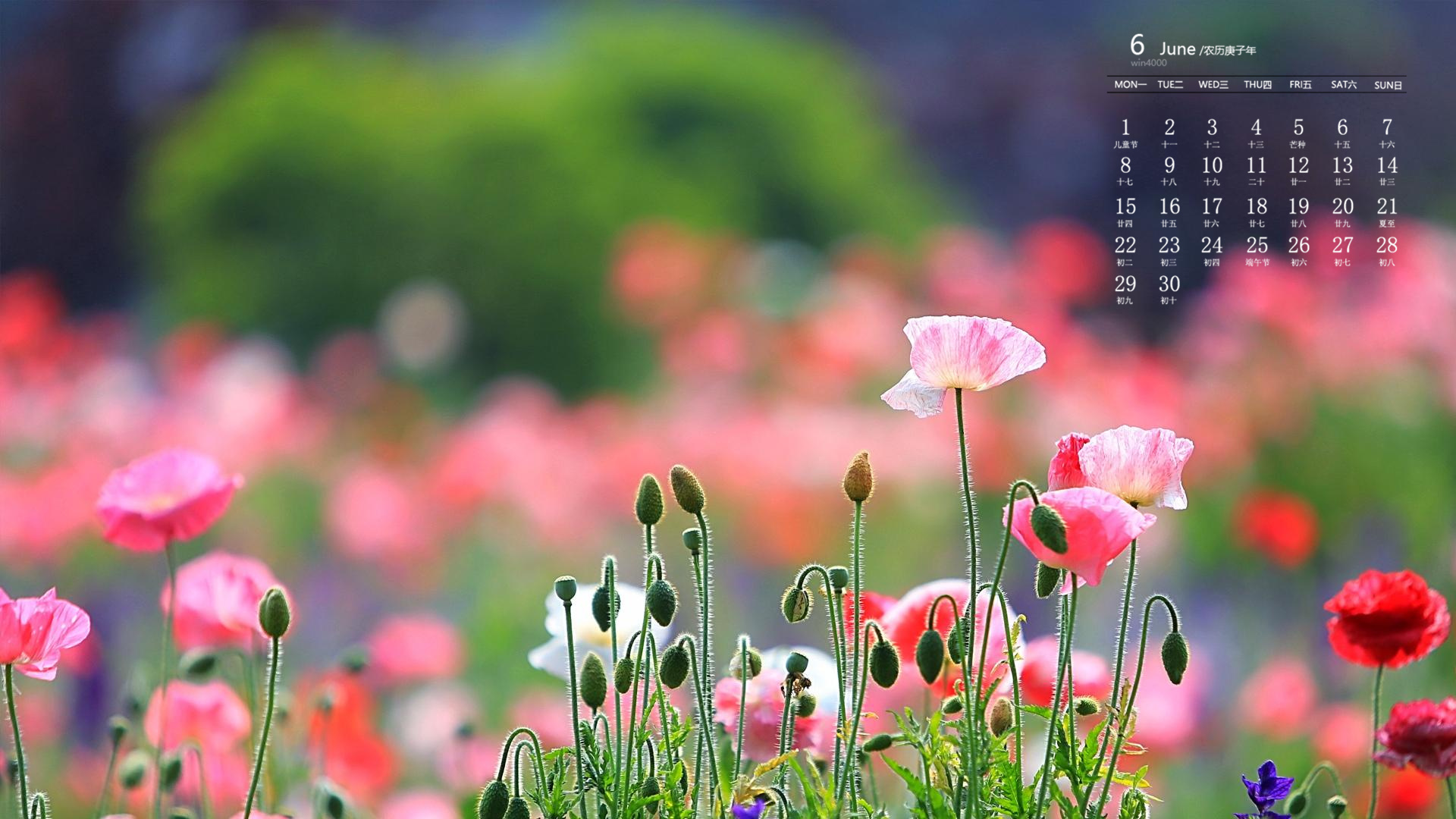 月历壁纸桌面壁纸高清_日历壁纸桌面月亮怎么弄_6月日历桌面壁纸