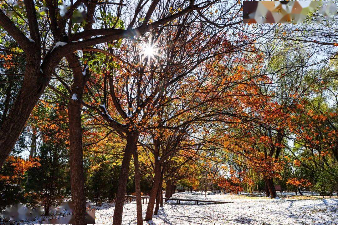 爱丫爱丫歌曲的伴奏_爱瑞莎拉爱瑞歌_歌爱雪
