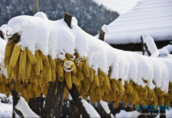 爱丫爱丫歌曲的伴奏_歌爱雪_爱瑞莎拉爱瑞歌