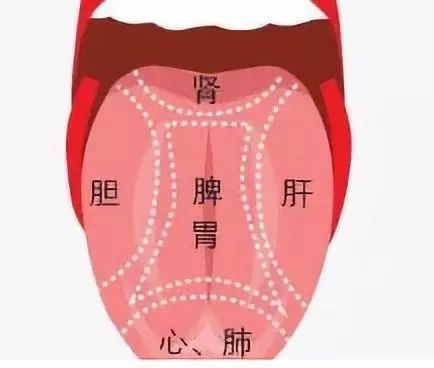 望闻问切等诊断手法的名医是谁_望闻问切四诊法是谁发明的?_望闻问切诊法是谁发明的