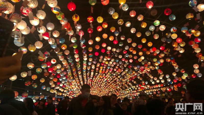 看花灯_看花灯_看花灯