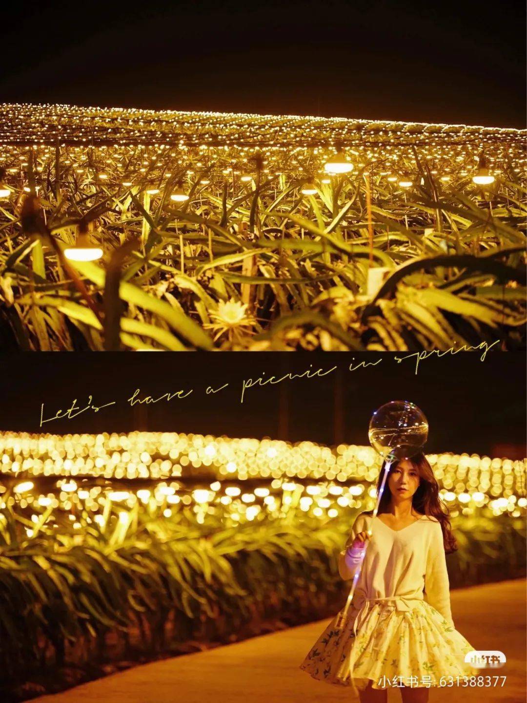 看花灯_看花灯_看花灯