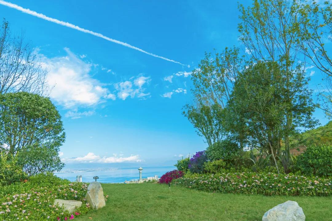 椎名林檎_椎名ひかる_椎名篝